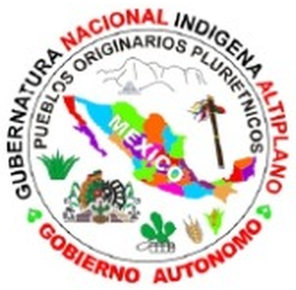 Gubernatura Nacional Indígena Altiplano